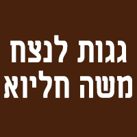 גגות לנצח