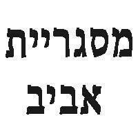אביב מסגרות
